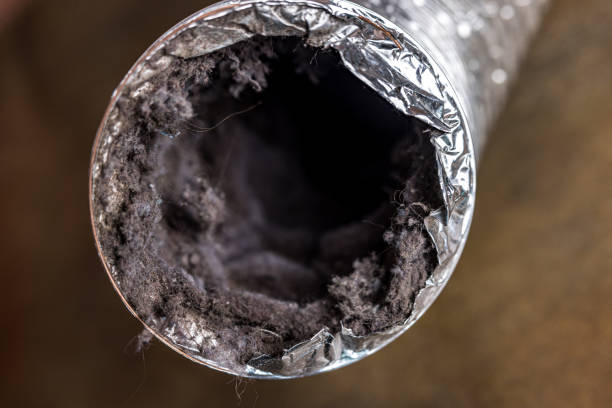 Best Local Air Duct Cleaning Services  in Shorewood Hills, WI